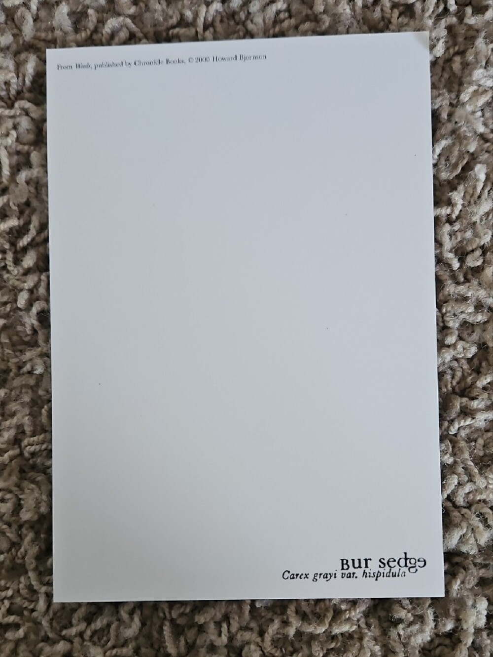 Botanical Note Card Set - Picture 2 of 2
